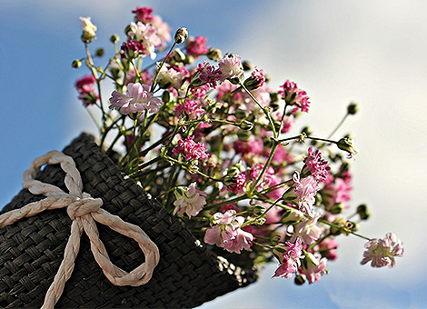 "Vai con fiducia nella direzione dei tuoi sogni.Vivi la vita che hai immaginato".Henry David Thoreau