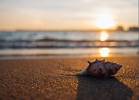 Che tu creda di farcela,o di non farcela,avrai comunque ragione.(H. Ford)