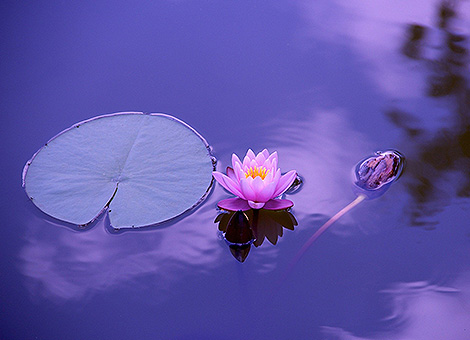 "Agisci in modo che ogni tuo atto sia degno di diventare un ricordo."(Immanuel Kant)