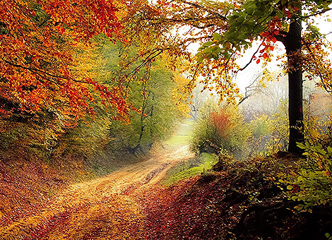 "Tu sei l’unico disegnatore della tua vita, sei il pastello che colora la tua strada, l’acqua che rinfresca la tua giornata, sei il musicista della tua colonna sonora, lo scrittore della tua storia, il pittore del quadro in cui vivi. Tu sei tutto quello che ti circonda, la vita è tua, il resto è solo una cornice."Osho